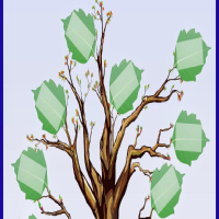 استخراج شجرة العائلة