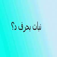 نبات بحرف الدال نبات يبدأ بحرف د
