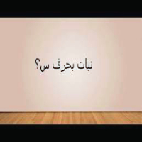 نبات بحرف س اسم نبات بحرف السين