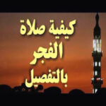 معنى لوجستي