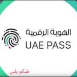 الهوية الرقمية